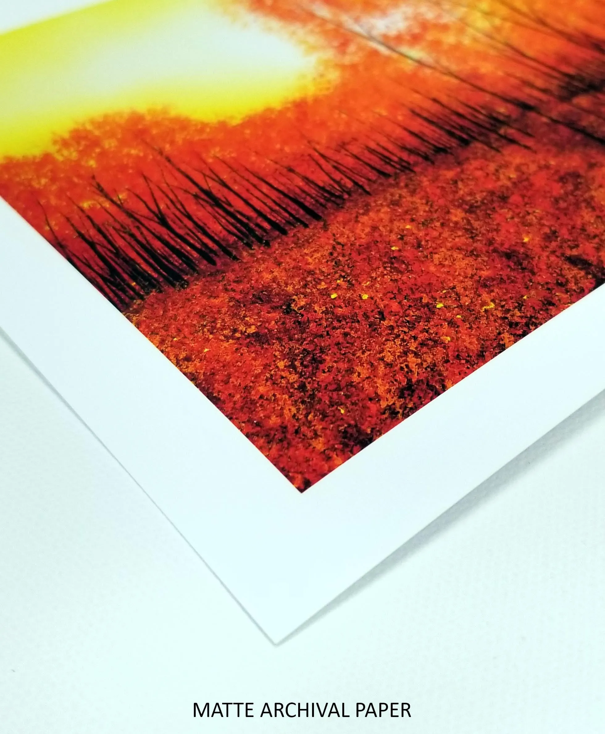 Custom Sized Archival Giclee Photo Prints