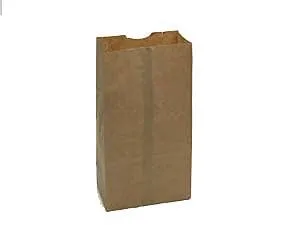 Six Pound Brown Paper Bags